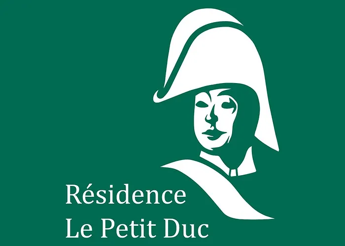 Villa Le Petit Duc Carcassone