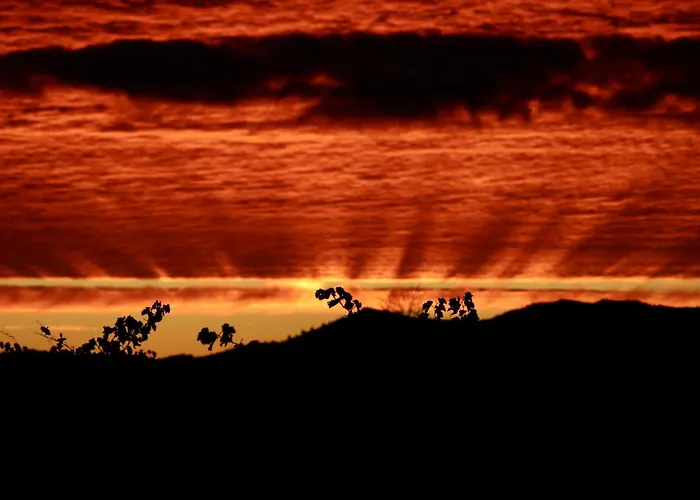 Villa Le Petit Duc Carcassonne